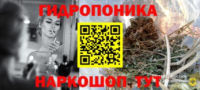 сатива Волгодонск