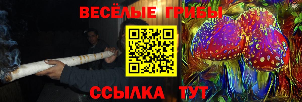 Псилоцибиновые грибы ЛСД  Вход с VPN  Михайловка 
